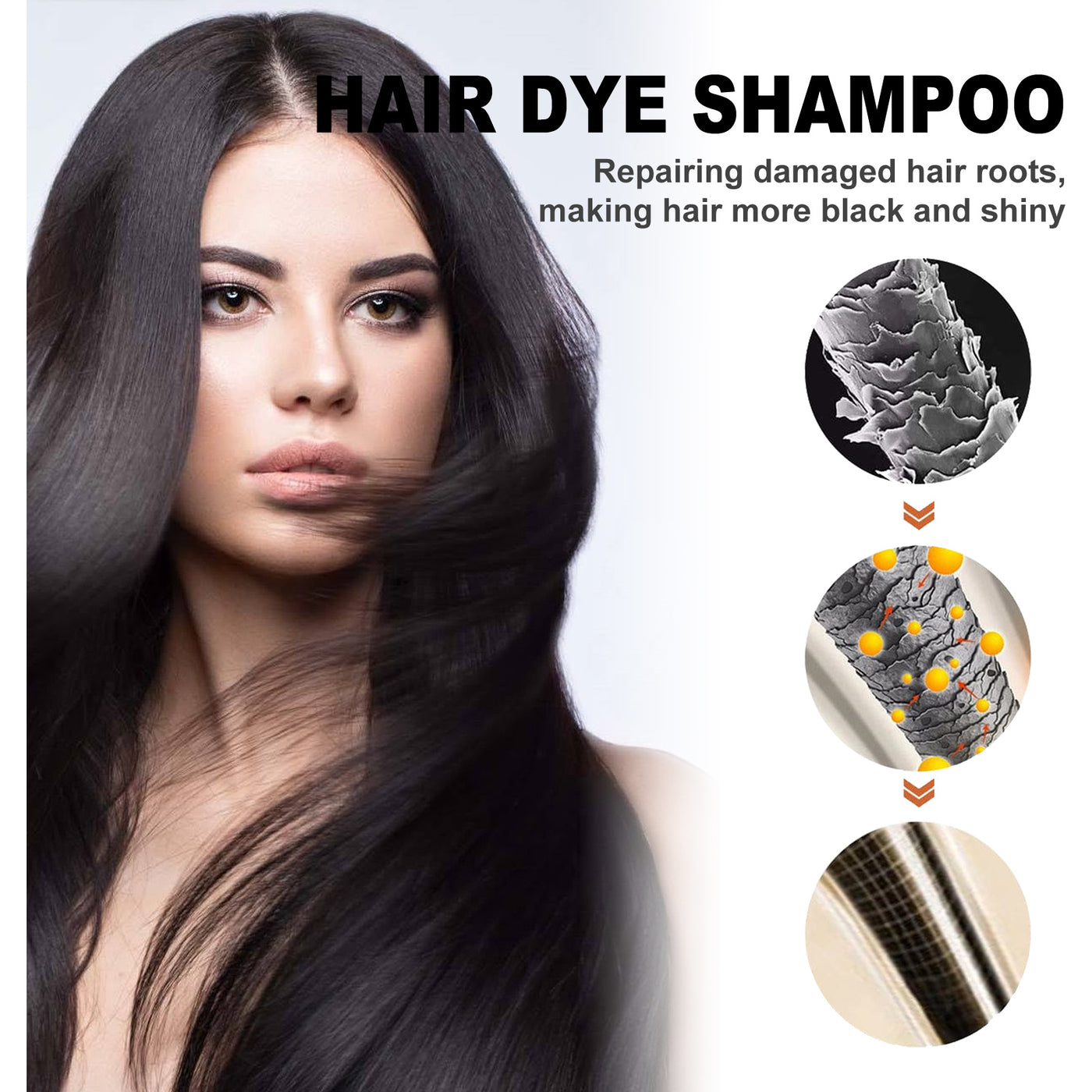Black Hair Dye Shampoo