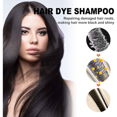 Black Hair Dye Shampoo